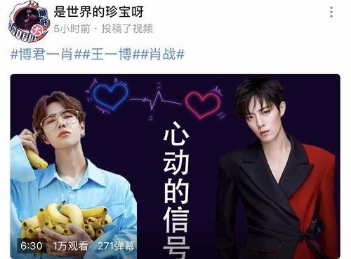 博君一肖吃瓜爆料,揭秘明星情侣背后的甜蜜与争议