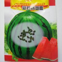 茄瓜价格今日最新行情图,价格波动解析与市场趋势洞察