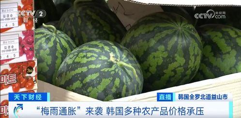 茄瓜价格今日最新行情图,价格波动解析与市场趋势洞察