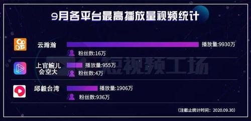 视频播放量,播放量突破百万！揭秘热门视频背后的故事