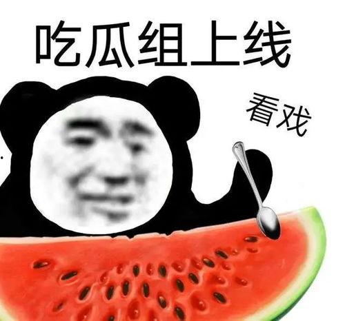 网曝吃瓜今日更新了吗,今日更新内容大盘点