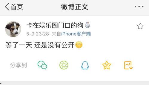 微信吃瓜爆料,娱乐圈幕后真相大曝光