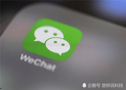 潍坊昌邑吃瓜爆料群微信,微信热议背后的社区风云
