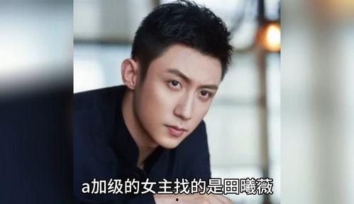 明星瓜八卦今日,明星瓜八卦今日大揭秘