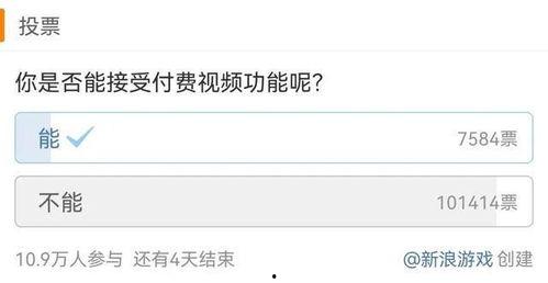 付费视频,内容深度解析与价值洞察