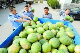 更多网红吃瓜爆料群