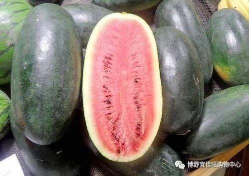 每日黑瓜吃料155,155份美味食光，尽享味蕾盛宴
