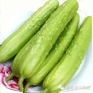 海阳白玉瓜今日价格,品质佳品，市场行情一览”