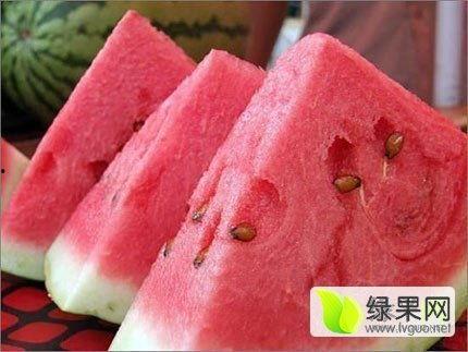 蒙阳今日价格硒砂瓜,品味天然硒元素的甘甜诱惑