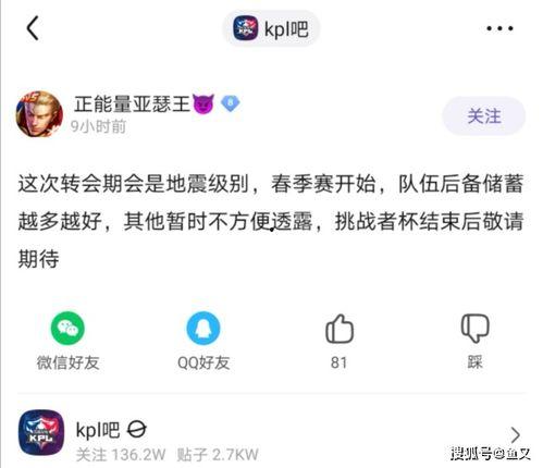 永利蘑菇吃瓜料每日爆料,揭秘娱乐圈最新爆料