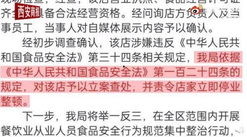 吃瓜最新爆料视频大全,最新爆料视频大盘点