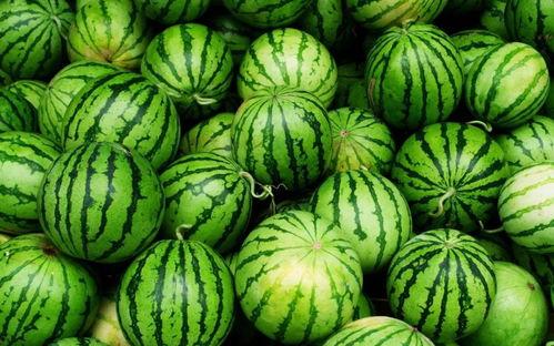 吃瓜爆料广西情侣,甜蜜瞬间曝光！