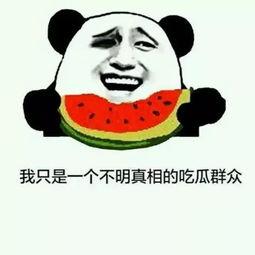 今日份摘瓜快乐图片搞笑,搞笑瞬间笑翻天！