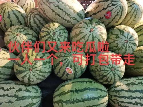 吃大瓜爆料,吃大瓜爆料背后的真相与内幕