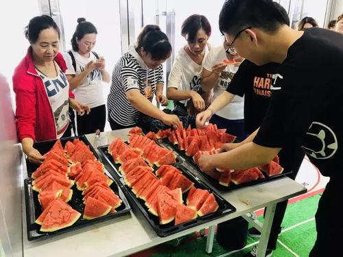 哈尔滨黑科技吃瓜群众,吃瓜群众眼中的创新盛宴