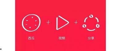 今日头条太阳瓜,揭秘今日头条热门话题背后的故事