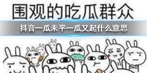 抖音吃瓜爆料什么意思啊,揭秘网络热点背后的真相