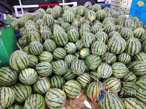 宁波吃瓜爆料,揭秘当地美食江湖风云