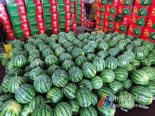 宁波吃瓜爆料,揭秘当地美食江湖风云
