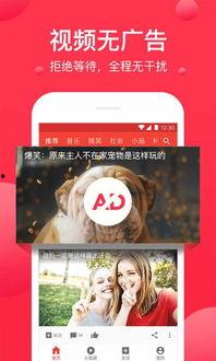 吃瓜爆料封面素材视频高清,高清视频背后的惊人真相