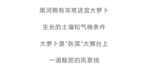 今日份麻瓜生活说说文案,揭秘今日份魔法生活的点点滴滴