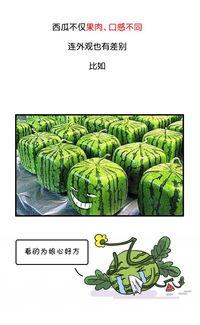 太久tai9吃瓜爆料,揭秘娱乐圈幕后真相