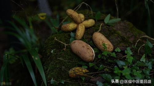 今日头条八月瓜,揭秘今日头条热门话题背后的故事