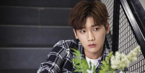 吃瓜爆料男星咩咩是谁啊,吃瓜爆料中的神秘男星“咩咩”身份大起底