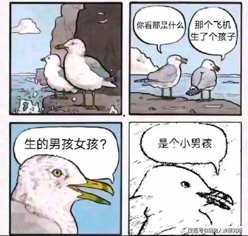 吃瓜爆料对个人隐私有何影响,揭秘个人隐私泄露的隐忧与应对策略