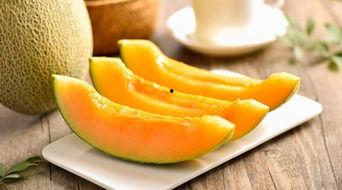 越南哈密瓜今日报价,品质佳价优，抢购正当时！”