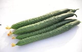 吃黑瓜有什么作用,揭秘吃黑瓜的五大神奇作用”