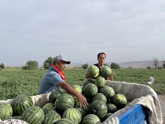 今日吃瓜骑行圈,吃瓜热议，揭秘骑行圈那些事儿