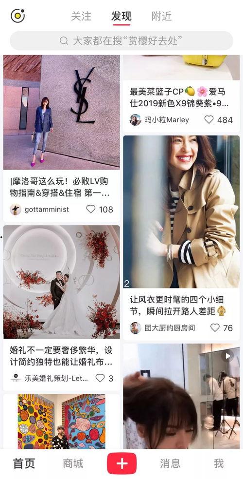 小红书今日吃瓜,揭秘娱乐圈最新热点事件