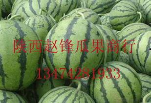 杭州哈密瓜今日价格行情,价格行情一览