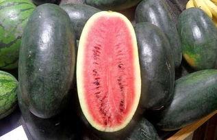 若若子吃瓜黑料