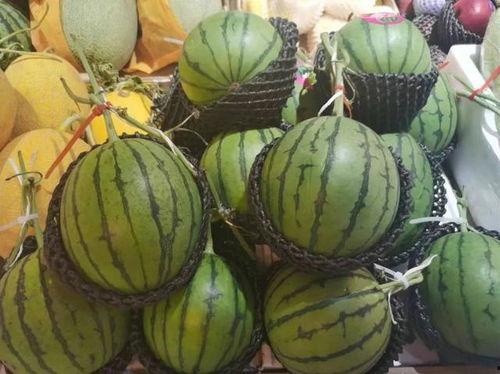 海南吃瓜爆料事件真相,揭秘背后真相与争议