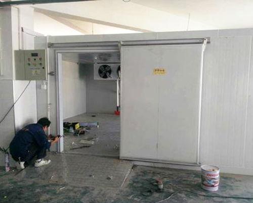 通海冷库今日小瓜价,市场动态一览”