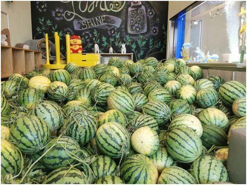 今日网红吃瓜猛料图片