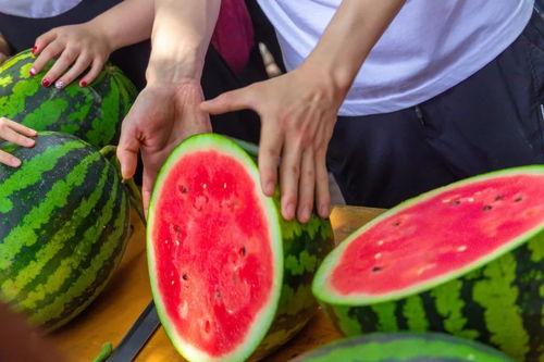 今日宜吃瓜吃瓜选手