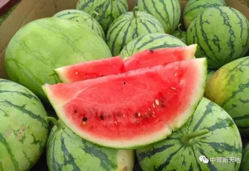 今日吃瓜每日吃瓜51,揭秘51期热点事件背后的真相