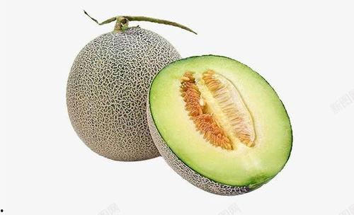 今日水果分享哈密瓜文案,尽享西域风味