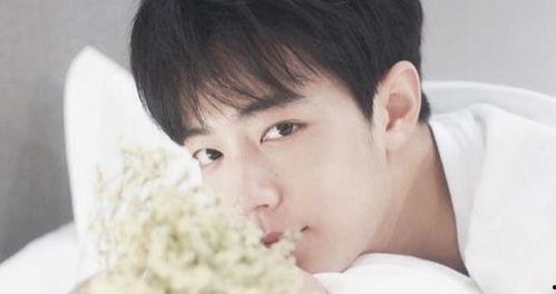 吃瓜爆料肖战,吃瓜爆料背后的真相与争议