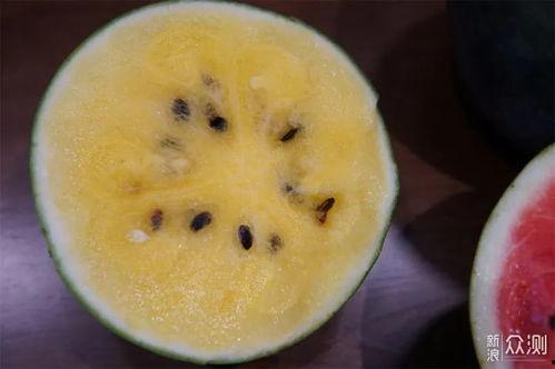 17cgcc吃瓜黑料,吃瓜黑料背后的真相与反思