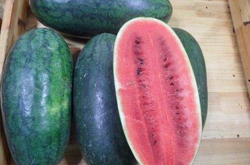 吃瓜黑材料,吃瓜黑材料背后的真相与内幕