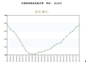 小白瓜今日行情走势最新,今日走势解析