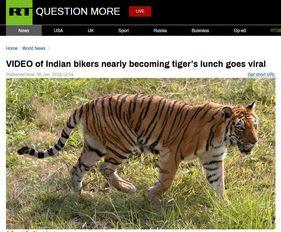 四虎免费视频,带你领略影视盛宴