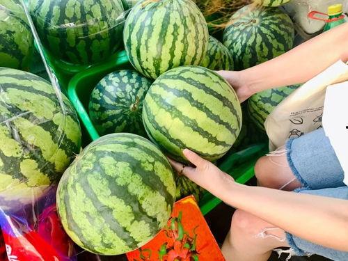 成都彩虹吃瓜爆料视频,揭秘网红美食背后的故事