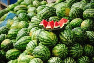 黑科吃瓜网站,校园风云录