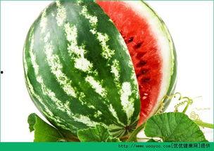 黑料吃瓜总站2,揭秘娱乐圈幕后真相，带你走进明星隐私世界