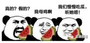 吃瓜爆料 大连话怎么说,“吃瓜爆料”如何说？